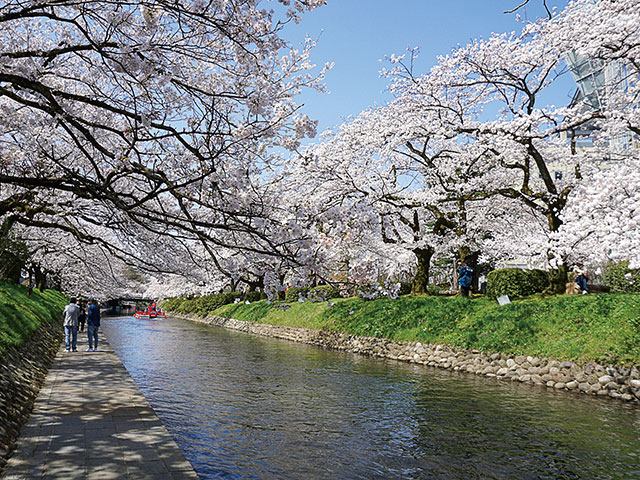 富山市内